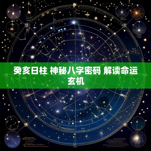 癸亥日柱 神秘八字密码 解读命运玄机
