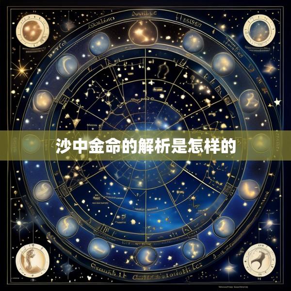 沙中金命的解析是怎样的
