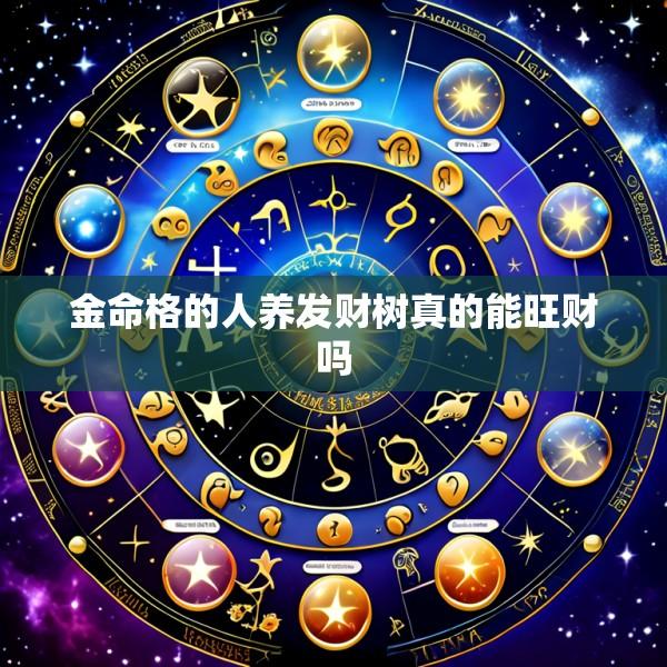 金命格的人养发财树真的能旺财吗