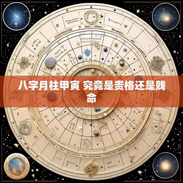 八字月柱甲寅 究竟是贵格还是贱命