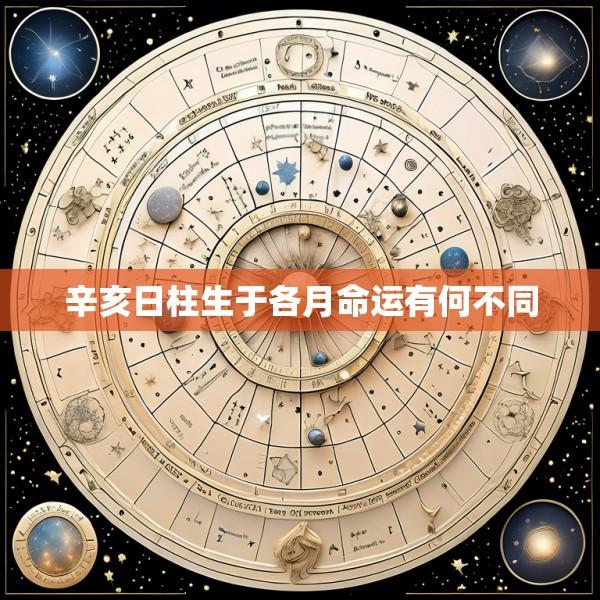 辛亥日柱生于各月命运有何不同