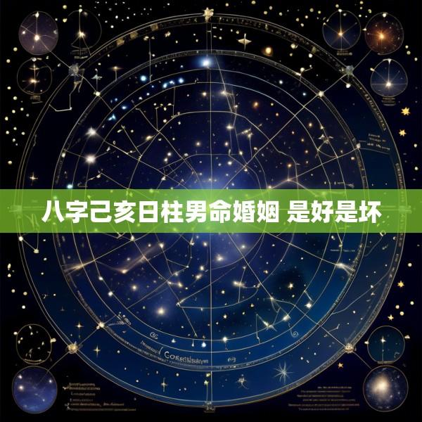 八字己亥日柱男命婚姻 是好是坏