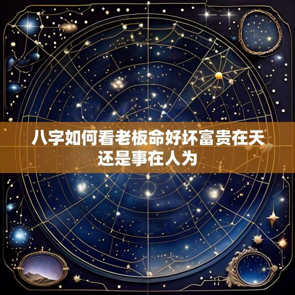 八字如何看老板命好坏富贵在天还是事在人为
