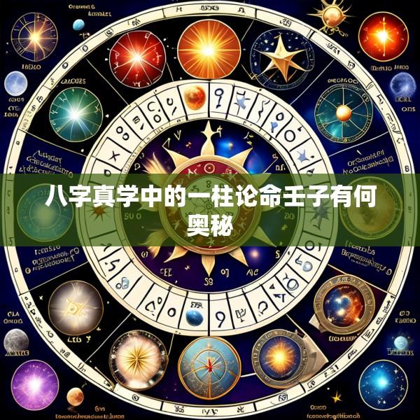 八字真学中的一柱论命壬子有何奥秘