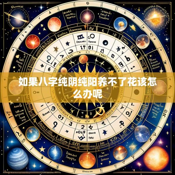 如果八字纯阴纯阳养不了花该怎么办呢
