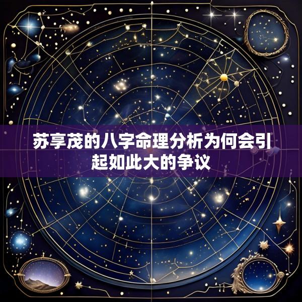 苏享茂的八字命理分析为何会引起如此大的争议