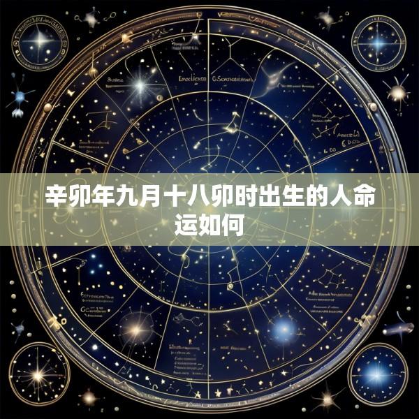 辛卯年九月十八卯时出生的人命运如何
