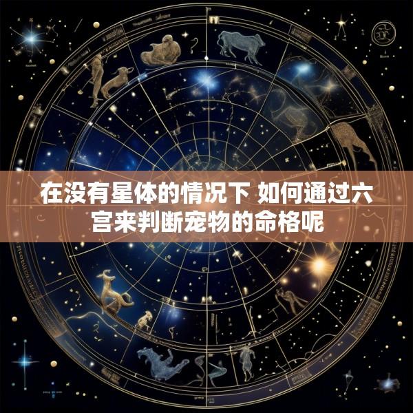 在没有星体的情况下 如何通过六宫来判断宠物的命格呢