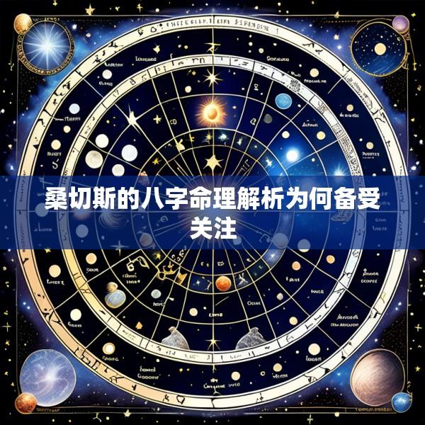 桑切斯的八字命理解析为何备受关注