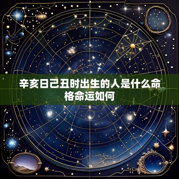 辛亥日己丑时出生的人是什么命格命运如何