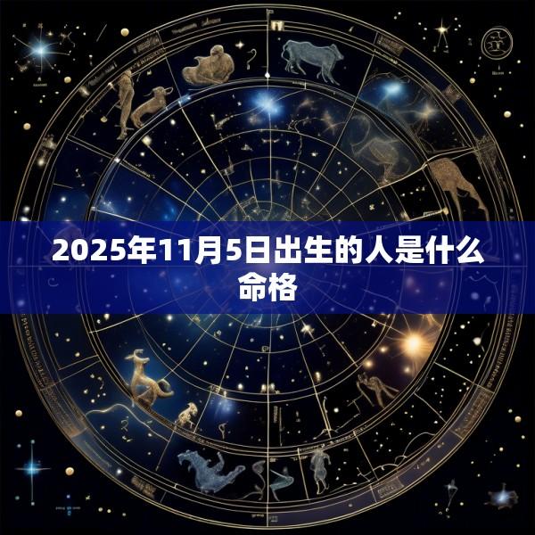 2025年11月5日出生的人是什么命格