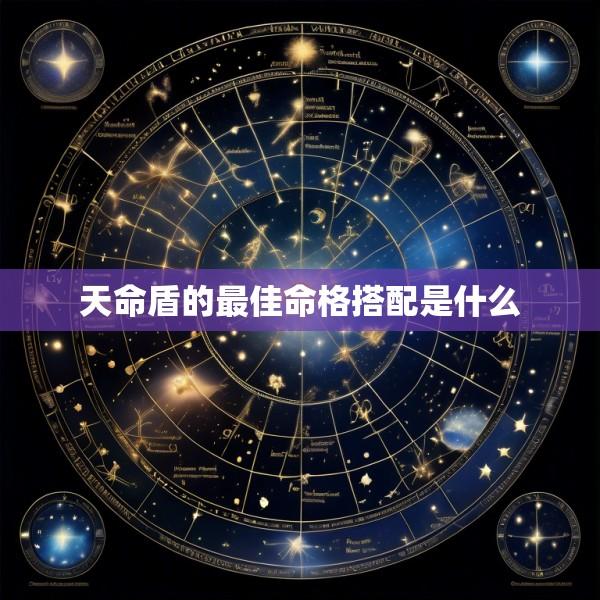 天命盾的最佳命格搭配是什么