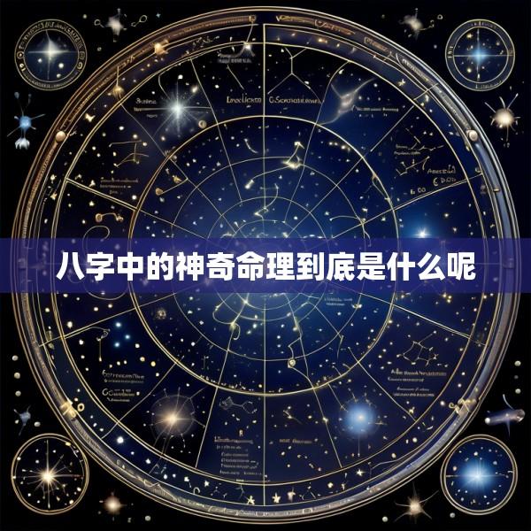 八字中的神奇命理到底是什么呢