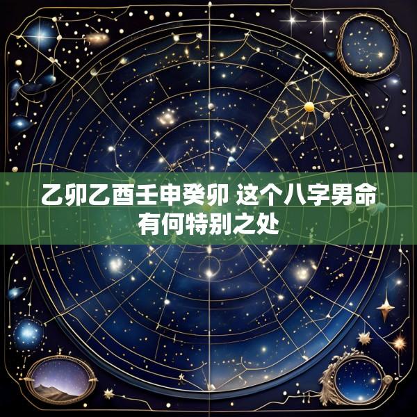 乙卯乙酉壬申癸卯 这个八字男命有何特别之处