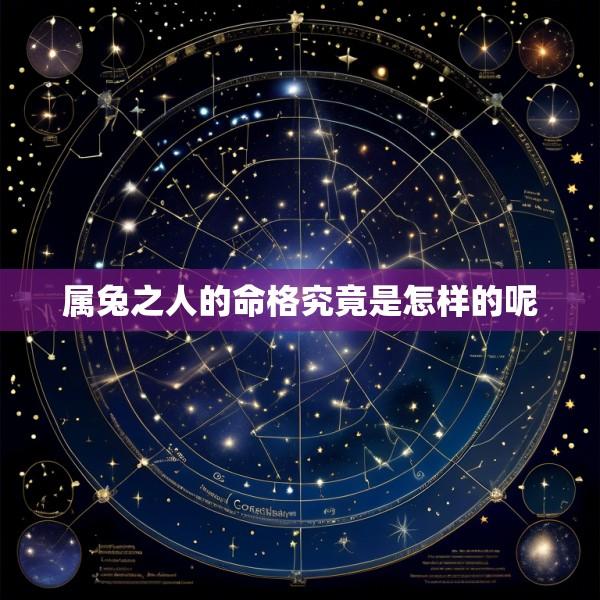 属兔之人的命格究竟是怎样的呢