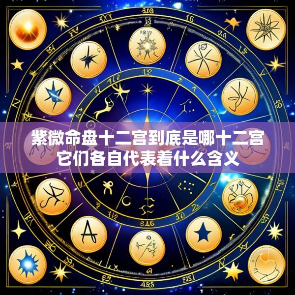 紫微命盘十二宫到底是哪十二宫它们各自代表着什么含义