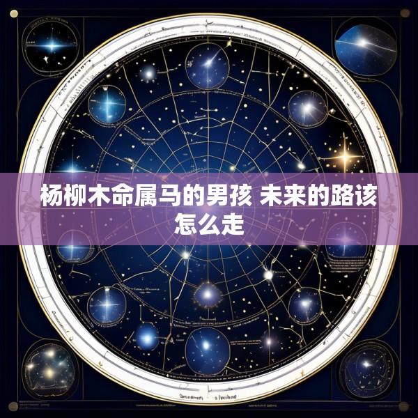 杨柳木命属马的男孩 未来的路该怎么走