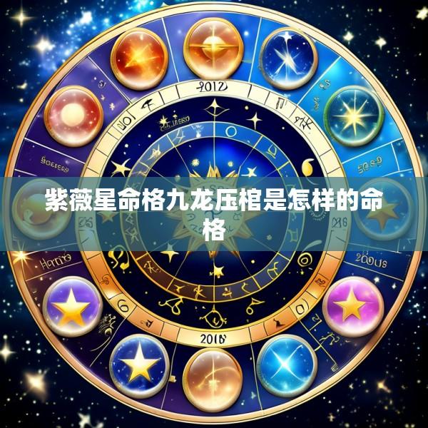 紫薇星命格九龙压棺是怎样的命格