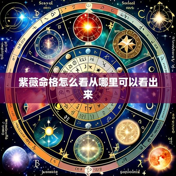 紫薇命格怎么看从哪里可以看出来