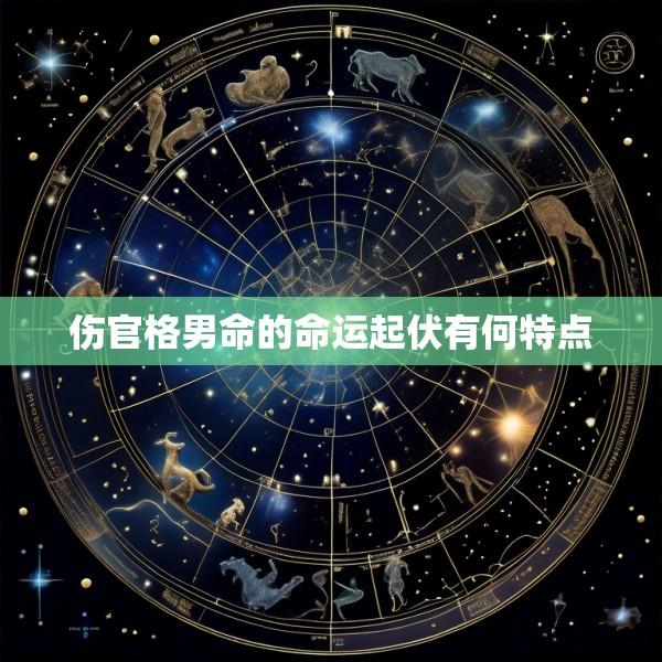 伤官格男命的命运起伏有何特点