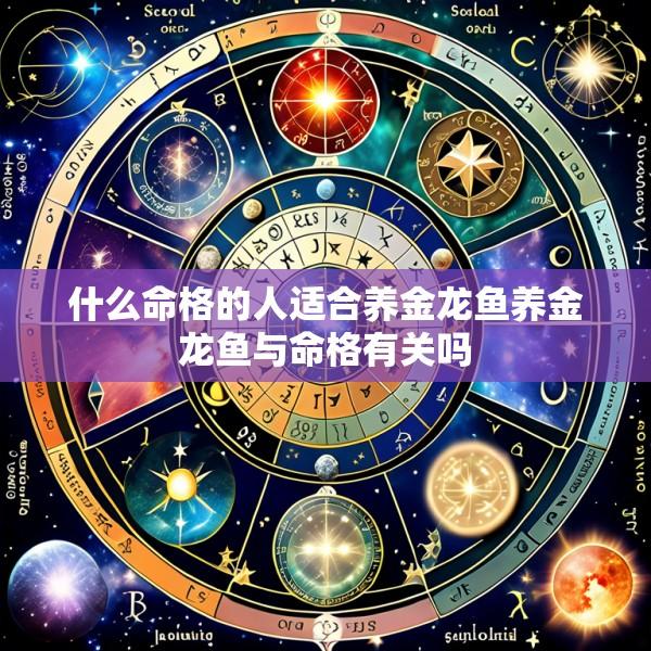 什么命格的人适合养金龙鱼养金龙鱼与命格有关吗