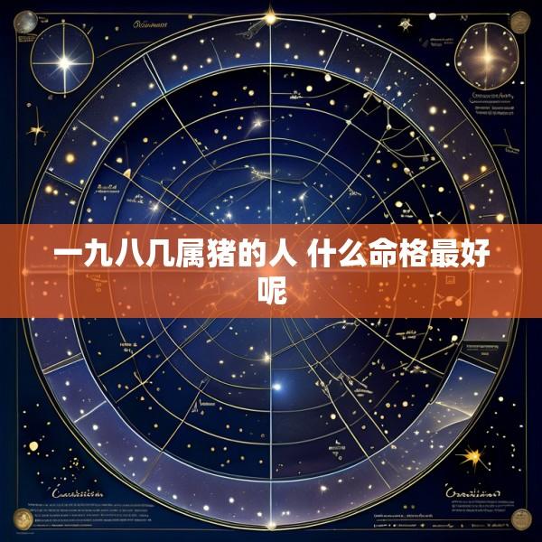 一九八几属猪的人 什么命格最好呢