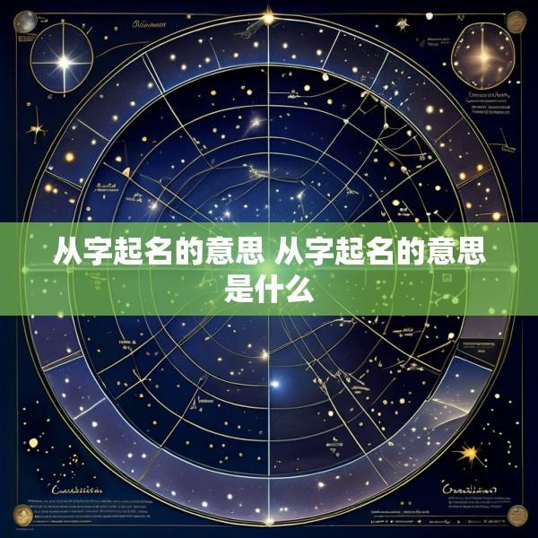 从字起名的意思 从字起名的意思是什么