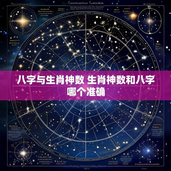 八字与生肖神数 生肖神数和八字哪个准确