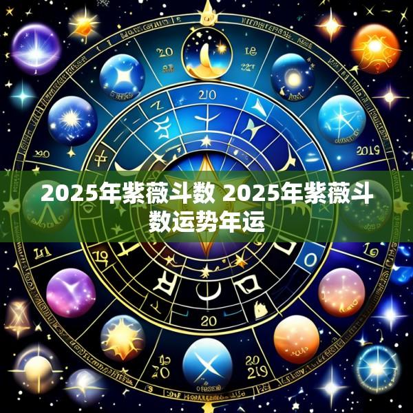 2025年紫薇斗数 2025年紫薇斗数运势年运