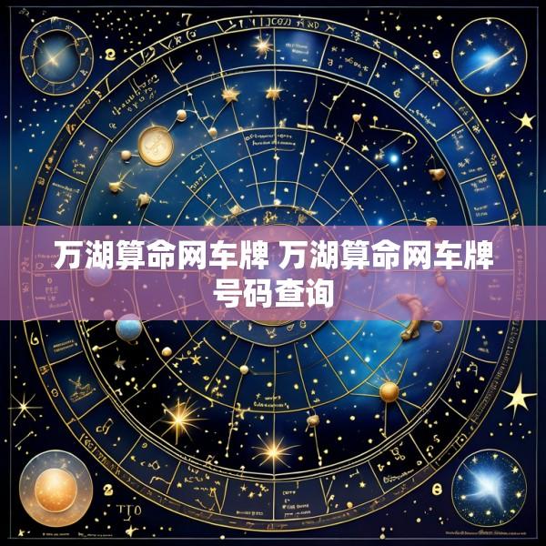 万湖算命网车牌 万湖算命网车牌号码查询