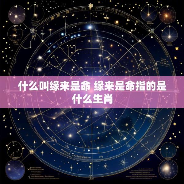 什么叫缘来是命 缘来是命指的是什么生肖