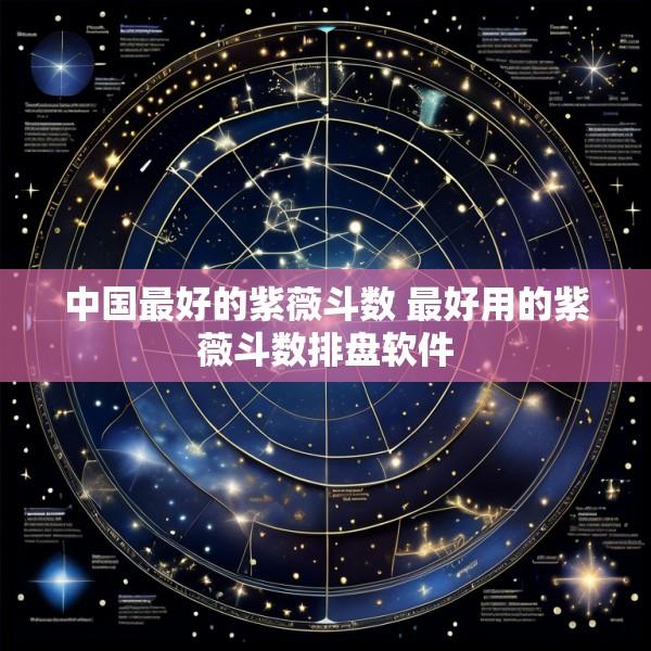 中国最好的紫薇斗数 最好用的紫薇斗数排盘软件