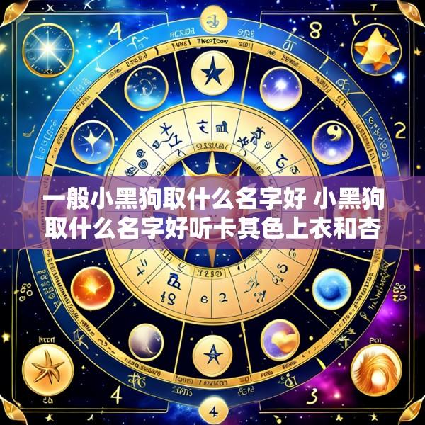 一般小黑狗取什么名字好 小黑狗取什么名字好听卡其色上衣和杏色裤子搭配好看吗