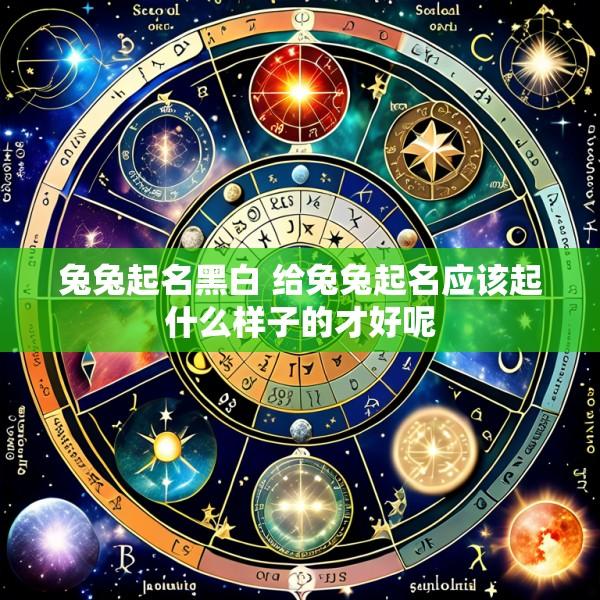 兔兔起名黑白 给兔兔起名应该起什么样子的才好呢