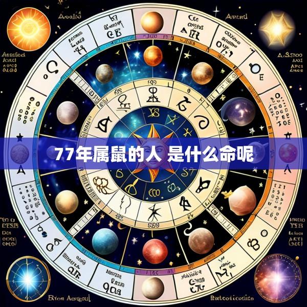 77年属鼠的人 是什么命呢