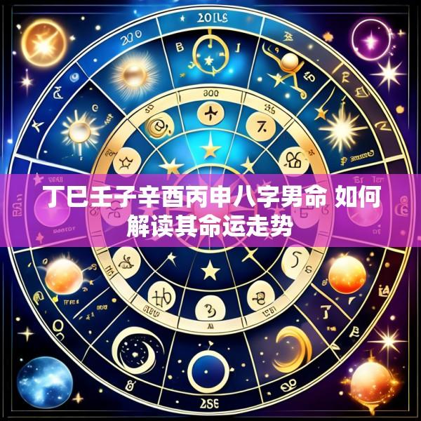丁巳壬子辛酉丙申八字男命 如何解读其命运走势