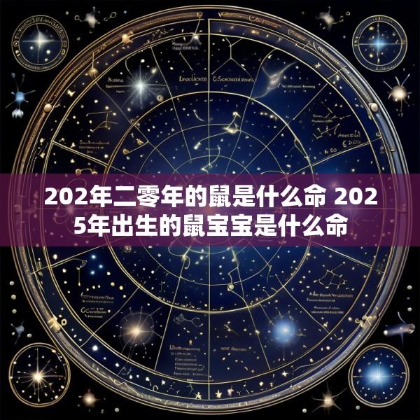202年二零年的鼠是什么命 2025年出生的鼠宝宝是什么命