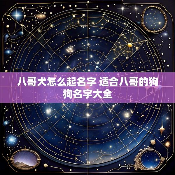 八哥犬怎么起名字 适合八哥的狗狗名字大全