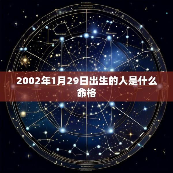 2002年1月29日出生的人是什么命格
