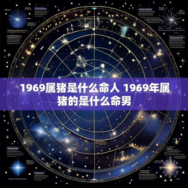 1969属猪是什么命人 1969年属猪的是什么命男