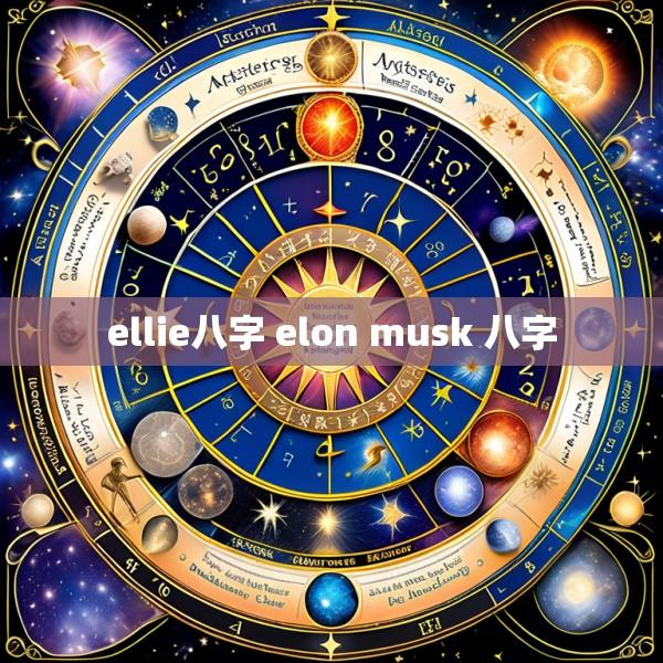 ellie八字 elon musk 八字