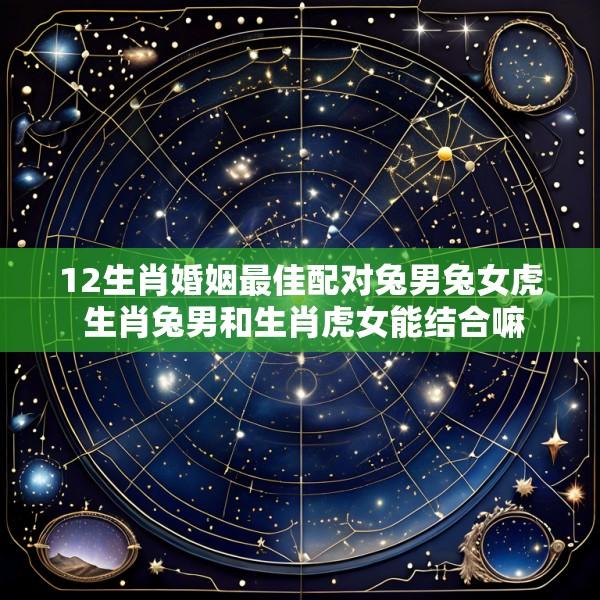 12生肖婚姻最佳配对兔男兔女虎 生肖兔男和生肖虎女能结合嘛