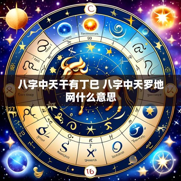 八字中天干有丁巳 八字中天罗地网什么意思