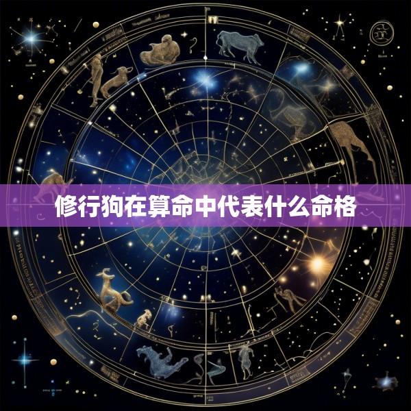 修行狗在算命中代表什么命格