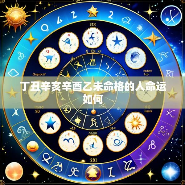 丁丑辛亥辛酉乙未命格的人命运如何