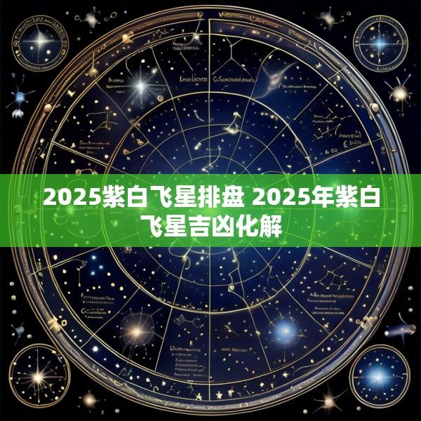 2025紫白飞星排盘 2025年紫白飞星吉凶化解