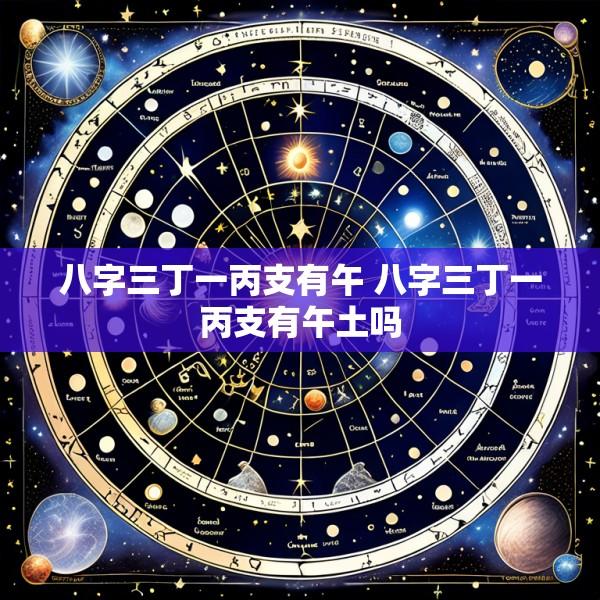 八字三丁一丙支有午 八字三丁一丙支有午土吗