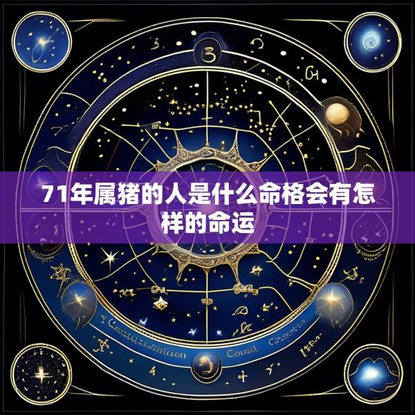 71年属猪的人是什么命格会有怎样的命运
