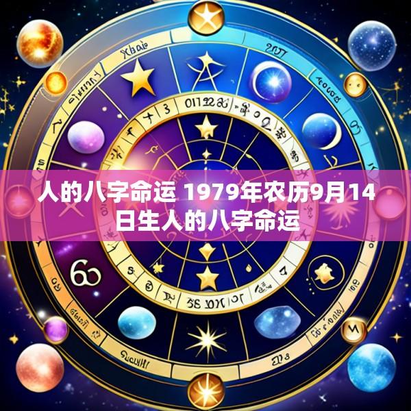 人的八字命运 1979年农历9月14日生人的八字命运