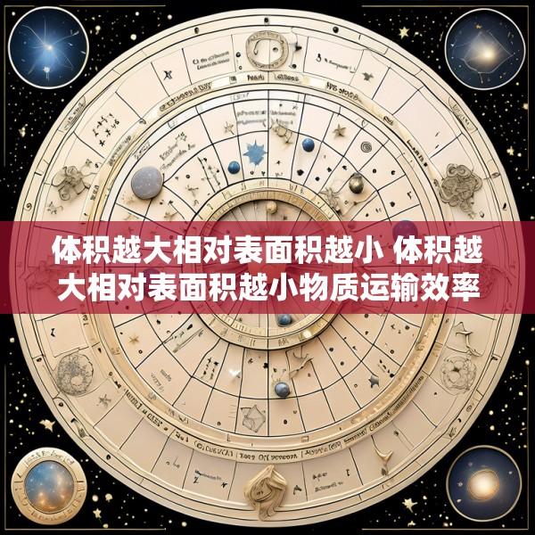 体积越大相对表面积越小 体积越大相对表面积越小物质运输效率越低的例子